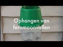 youtube - [Video]