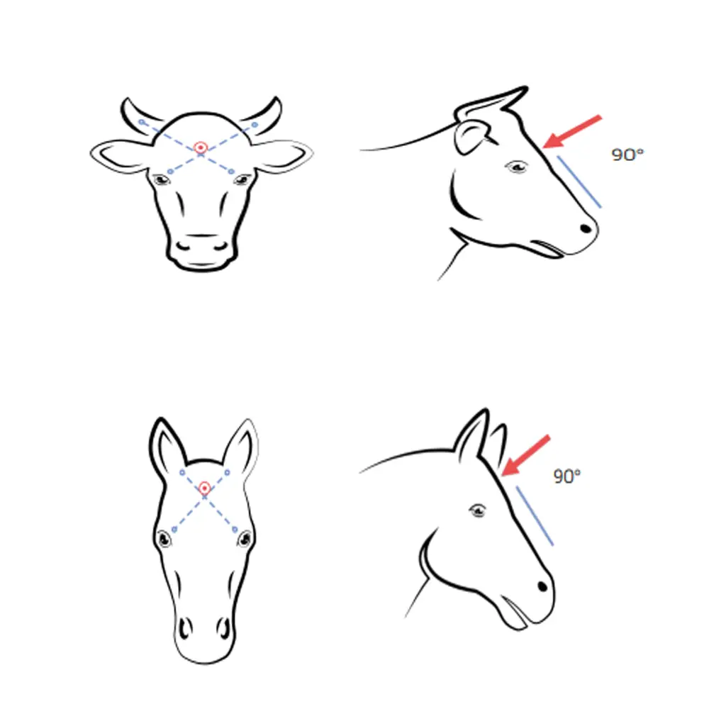 slachtmasker koeien en paarden.webp