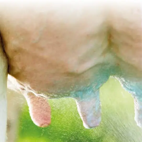 Uierspray G-mix indufarm.webp
