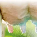 Uierspray G-mix indufarm.webp