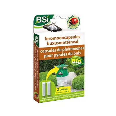 Feromooncapsules Buxusmottenval, 2 stuks