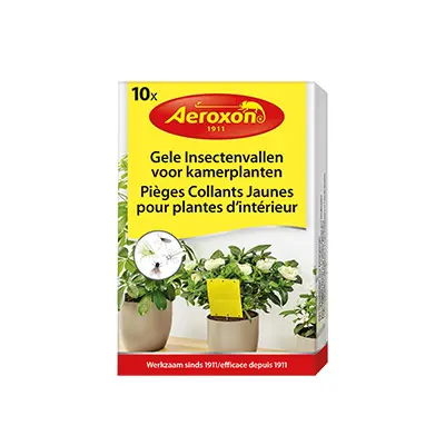 Gele insectenvallen voor kamerplanten, 10 stuks