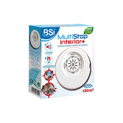 Multistop interior+
