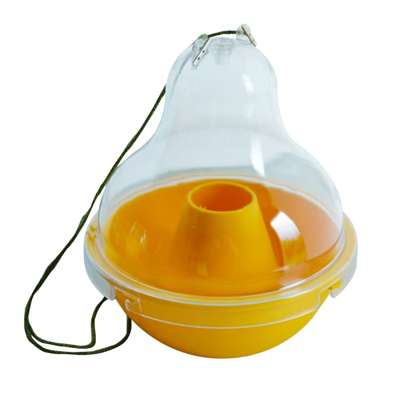 [A00870] Dome Trap wesp- en hoornaarval