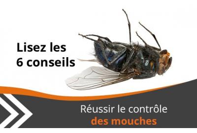 Faire de la lutte contre les mouches une réussite 