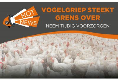 Vogelgriep steekt de grens over