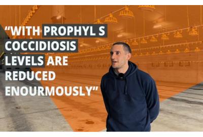 Our customer Steven Prat about Prophyl S