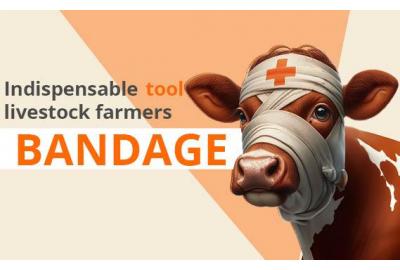 Adhesive bandage for hoof care: an essential tool for livestock producers