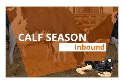 Calf season approaching