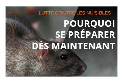 Lutte contre les nuisibles : pourquoi il vaut mieux s'y préparer dès maintenant