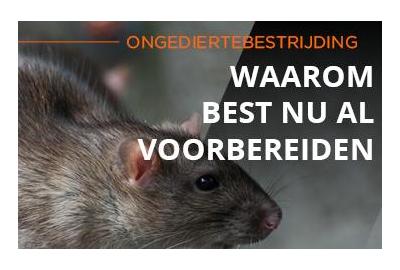 Ongediertebestrijding: waarom je nu al best voorbereidingen treft