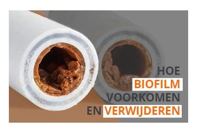 Hoe biofilm voorkomen en verwijderen?