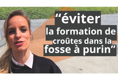 Traiter efficacement le fumier