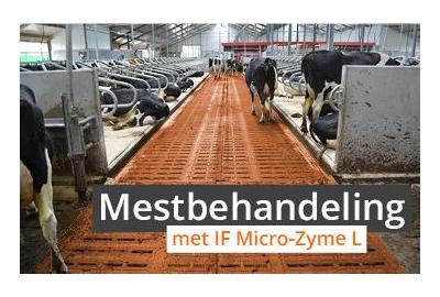 Efficiënte mestbehandeling met IF Micro-Zyme L