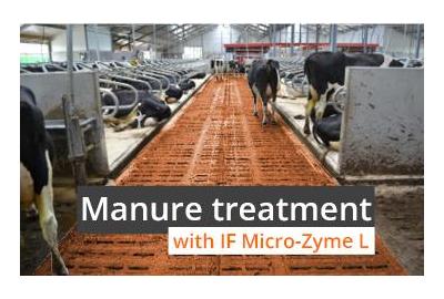Effective manure treatment with IF Micro-Zyme L