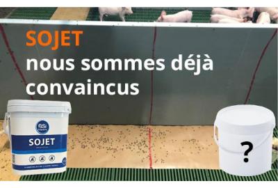 Le potentiel de Sojet* en tant qu'insecticide