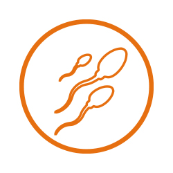 Fertilité, contrôle de gestion et logiciel technique pour vérrats