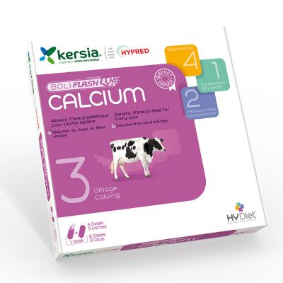 Boliflash Calcium, 6 X 2 bolussen