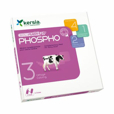 Boliflash Phospho, 6 X 2 bolus