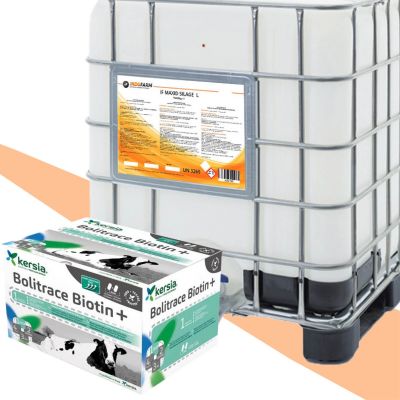 Promotion package: IF Maxid Silage L, 1000 kg + 1 Bolitrace Biotine+ for FREE