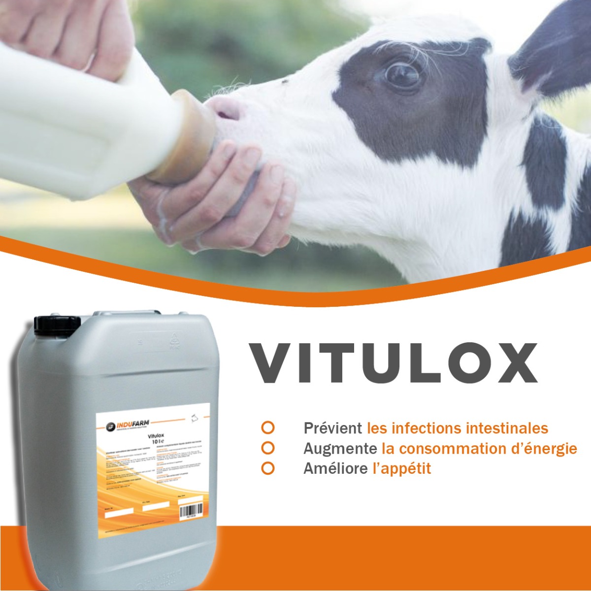 Vitulox 