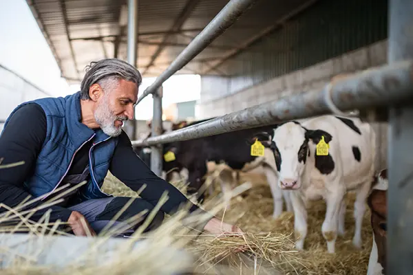 hygiëne op maat Hygiëne op maat