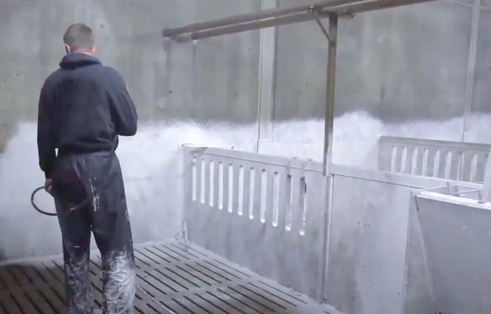 Langhechtend schuim Langhechtend schuim