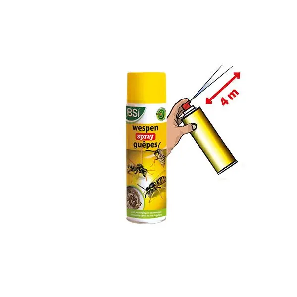 a02122_-_2_yzpthksebnpabjuz.webp