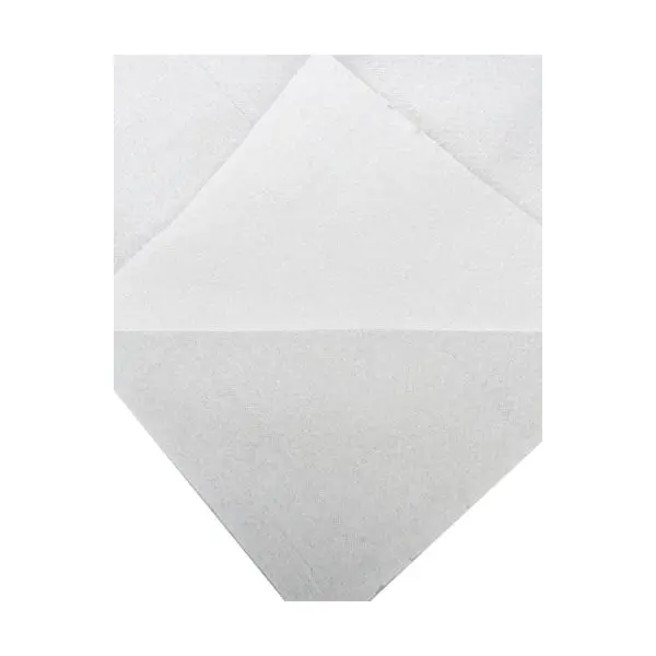 hygiënepapier 2 laags wit
