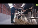 Bekina laarzen met stalen zool