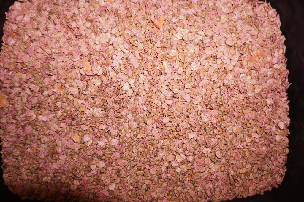 Difetox GR - inhoud.webp