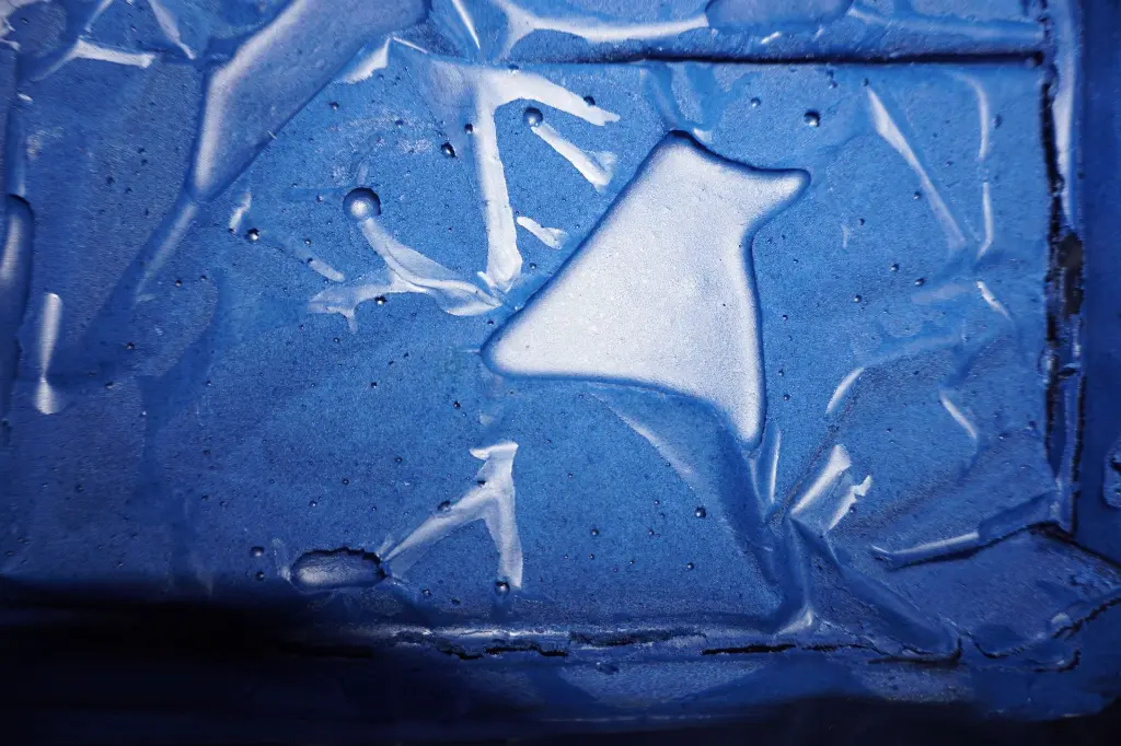 Broditix Creme - inhoud.webp