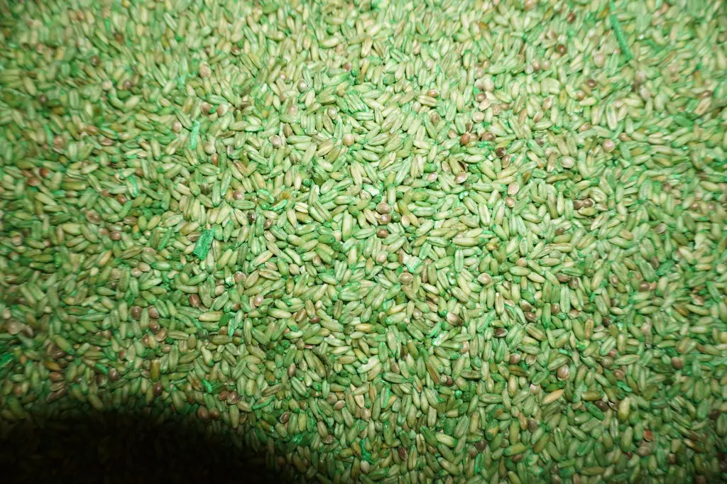 Bromatox GR - inhoud.webp