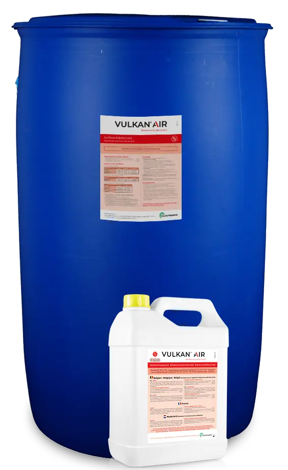 Vulkan Air_combi.webp