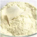 Colodan Damino