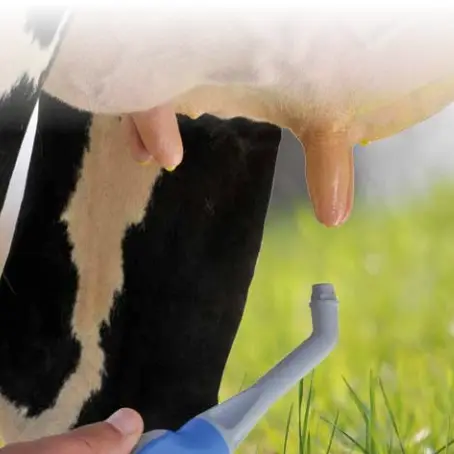 vir uierspray Indufarm.webp