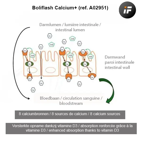 Boliflash calcium plus melkziekte.webp