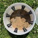 Fly trap Muscattract Dry Armosa Indufarm.webp