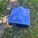 rattenlokdoos met transparant deksel.webp