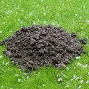 mollen verjagen.webp