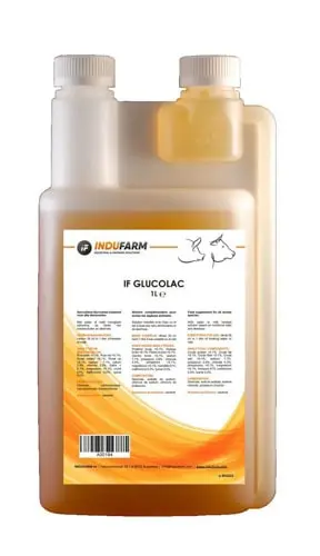 IF Glucolac
