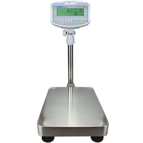 Scale 