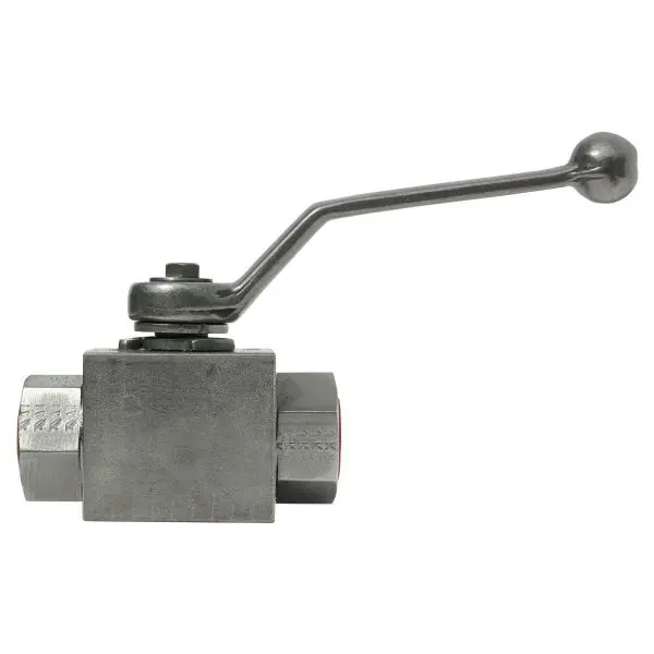 Robinet à boisseau sphérique HD inox 2* filetage intérieur, 500 bar