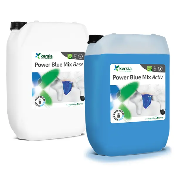 Power Blue Mix dip