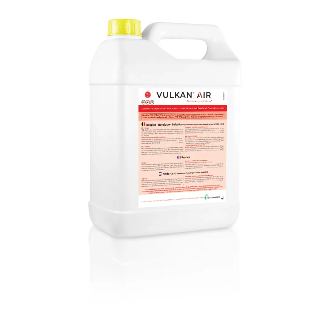 Vulkan Air
