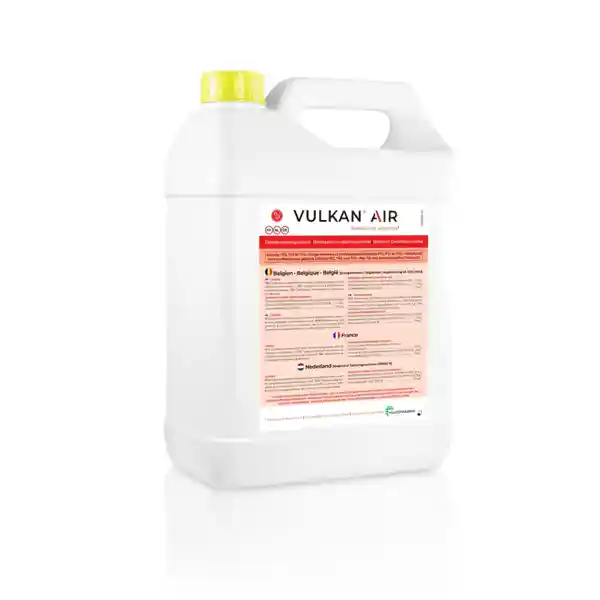 Vulkan Air