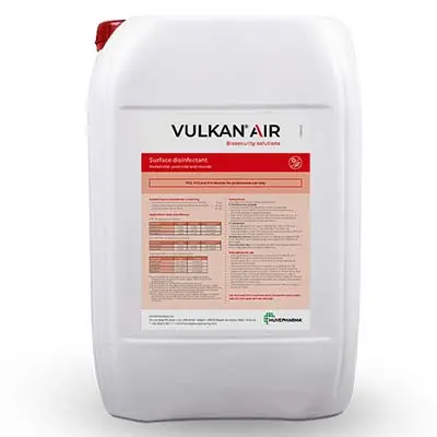 Vulkan Air
