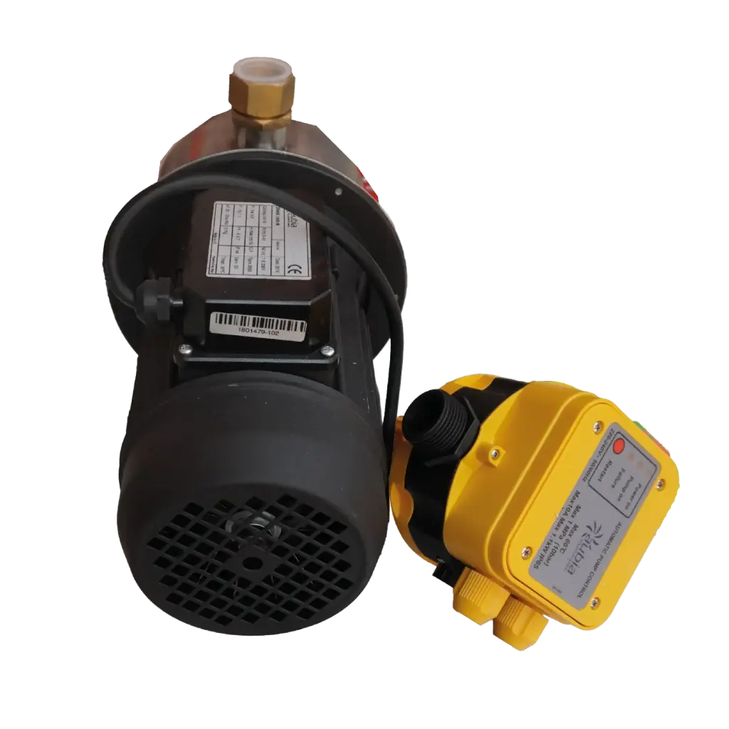 Pompe jet inox avec régulateur DSK, 0,75 kW 230 volts