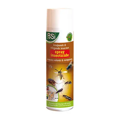 Insecticide Spray tegen vliegende & kruipende insecten, 500 mL