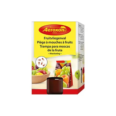 Piège à mouches des fruits